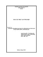 BÁO cáo tìm HIỂU TÌNH HÌNH THU NHẬP của NÔNG hộ tại xã hòa sơn, HUYỆN KRÔNG BÔNG, TỈNH ĐAKLAK 
