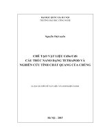 Chế tạo vật liệu cdse cds cấu trúc nano dạng tetrapod và nghiên cứu tính chất quang của chúng 