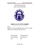 Nghiên cứu đa dạng sinh học vùng gen s của virus viêm gan b tại một số vùng ở việt nam