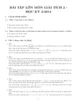 Bài Tập lớn Giải Tích 2 năm 2014