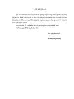 ĐỊNH GIÁ bất ĐỘNG sản tại CÔNG TY TNHH VNG VIỆT NAM