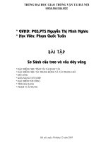 SUSPENSION cầu treo dây võng