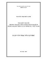 Tội giết người trong trạng thái tinh thần bị kích động mạnh theo luật hình sự việt nam 