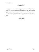 Luận văn tốt nghiệp khoa thuế hải quan đề tài: “Công tác kiểm tra sau thông quan về trị giá đối với hàng hóa nhập khẩu tại chi cục kiểm tra sau thông quan Cục Hải quan Hà Nội”.