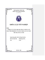 Nghiên cứu tuyển chọn bộ chủng vi sinh vật có hoạt tính probiotic ứng dụng trong sản xuất men tiêu hoá cho vật nuôi