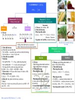 Bảng tổng hợp lí thuyết Hidrocacbon (bản đẹp)