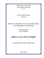 Những vấn đề pháp lý về mua bán hàng hóa qua mạng điện tử ở việt nam
