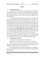 Quy định pháp luật về xác lập quyền sở hữu công nghiệp đối với nhãn hiệu tại việt nam