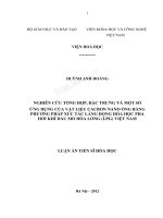 Nghiên cứu tổng hợp, đặc trưng và một số ứng dụng của vật liệu cacbon nano ống bằng phương pháp xúc tác lắng đọng hóa học pha hơi khí dầu mỏ hóa lỏng (LPG) việt nam 