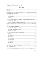 Đề tài tổng quan về lịch sử chất thải rắn