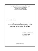 Thu nhận hợp chất tự nhiên bằng phương pháp nuôi cấy rễ tơ