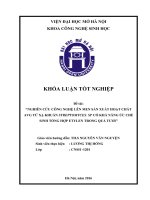 Nghiên cứu công nghệ lên men sản xuất hoạt chất AVG từ xạ khuẩn streptomyces  sp có khả năng ức chế sinh tổng hợp etylen trong quả tươi