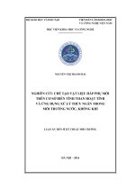 Nghiên cứu chế tạo vật liệu hấp phụ mới trên cơ sở biến tính than hoạt tính và ứng dụng xử lý thủy ngân trong môi trường nước, không khí