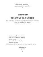 PHÂN TÍCH TÌNH HÌNH sử DỤNG vốn của CÔNG TY TNHH THIÊN HƯƠNG