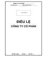 Điều lệ tổ chức và hoạt động Công ty cổ phần quy mô lớn, đại chúng, niêm yết