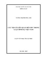 Các tội có liên quan đến HIV trong luật hình sự việt nam 