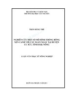 Nghiên cứu một số mô hình trồng bông xen canh với cây ngắn ngày tại huyện cư jút tỉnh đăk nông 