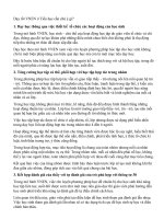 Dạy tốt VNEN ở tiểu học cần chú ý gì