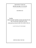 Đánh giá sinh trưởng và hiệu quả kinh tế của một số mô hình trồng bời lời đỏ (litsea glutinosa roxb) tại một số huyện ở gia lai 