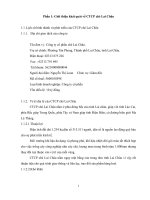 PHÂN TÍCH TÌNH HÌNH tài CHÍNH của CTCP CHÈ LAI CHÂU QUA BẢNG cân đối kế TOÁN