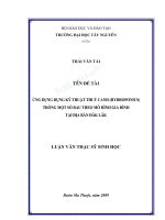 Ứng dụng kỹ thuật thủy canh (hydroponics) trồng một số rau theo mô hình gia đình tại địa bàn đăk lăk 