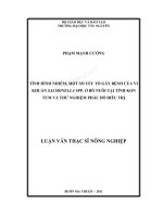 Tình hình nhiễm, một số yếu tố gây bệnh của vi khuẩn salmonella spp ở bò nuôi tại tỉnh kon tum và thử nghiệm phác đồ điều trị 