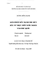 Giải pháp đẩy mạnh thu hút đầu tư trực tiếp nước ngoài và phú quốc   đại học kinh tế hồ chí minh 