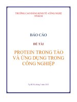 Đề tài protein trong tảo và ứng dụng trong công nghiệp