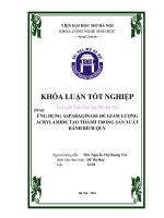 Ứng dụng asparaginase để giảm lượng acrylamide tạo thành trong sản xuất bánh bích quy