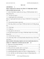 Phân tích hoạt động sản xuất kinh doanh của công ty TNHH MTV XI MĂNG QUANG sơn