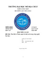 BÀI TIỂU LUẬN các quá trình thủy lực1