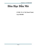 Tieu luan hợp chất hydrocarbon thơm nhom 2