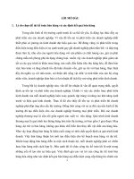 luận văn Kế toán bán hàng và xác định kết quả bán hàng tai Công ty cổ phần sản xuất và Thương mại Lam Sơn