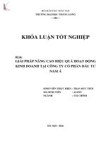 Luận văn giải pháp nâng cao hiệu quả hoạt động kinh doanh tại công ty cổ phần đầu tư nam á 