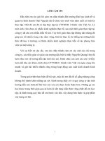 Thực trạng, công tác quản lý nguồn nhân lực taị công ty trách nhiệm hữu hạn 1 thành viên việt an