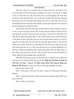 Phân tích tình hình tài chính tại Nhà máy Cốc Hóa  Công ty Cổ Phần Gang Thép Thái Nguyên thông qua Bảng cân đối kế toán