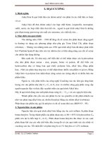 TIỂU LUẬN QUÁ TRÌNH ANKYL HOÁ