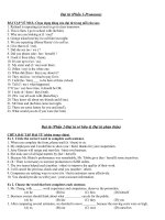 Bài tập đại từ 