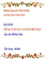 Sinh 8 tiet 60 tuyến tụy và tuyến trên thận