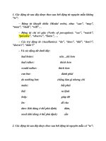 trợ động từ trong tiếng anh