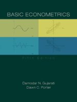 Basic econometrics     kinh tế lượng cơ bản