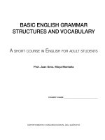 BASIC ENGLISH GRAMMAR STRUCTURES AND VOCABULARY