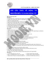 cac cau truc ve dong tu nguyen mau va danh dong tu p3