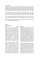 Các bài luận mẫu tiếng anh