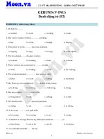 12  danh động từ (p2) 