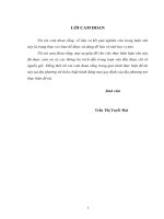 Một số giải pháp quản lý nhằm giảm thiểu ô nhiễm môi trường ở làng nghề thu gom, tái chế phế liệu diễn hồng – diễn châu – nghệ an