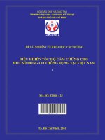 điều khiển tốc độ cầm chừng cho một số động cơ thông dụng tại việt nam