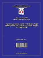 vấn đề sử dụng ngôn ngữ tiếng việt trong sinh viên hiện naythực trạng và giải pháp