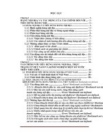 hàng nội địa và tác động của tài chính đến tiêu dùng hàng nội địa