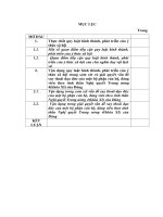 TIỂU LUẬN TRIẾT HỌC - QUY LUẬT HÌNH THÀNH, PHÁT TRIỂN Ý THỨC XÃ HỘI - VẬN DỤNG TRONG XEM XÉT GIẢI QUYẾT NHỮNG VẤN ĐỀ CẤP BÁCH CỦA NQTW4 KHÓA XI HIỆN NAY